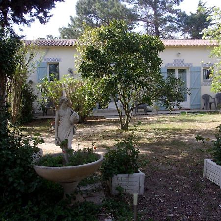 Mas Des Pins Bed & Breakfast แซงต์-ซีเปรียง ภายนอก รูปภาพ